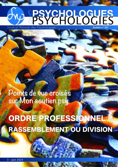 P&P 291 - Ordre professionnel ? Rassemblement ou division